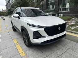 Baojun RS-3 0
