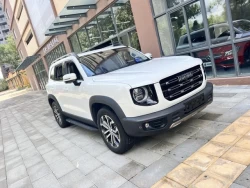 Haval Big Dog DaGou 0