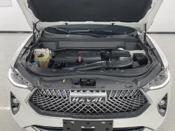 Haval F7 2021 12