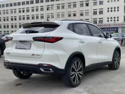 Oshan X5 4
