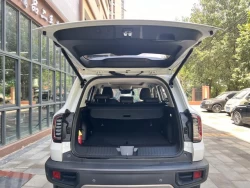 Haval Big Dog DaGou 13
